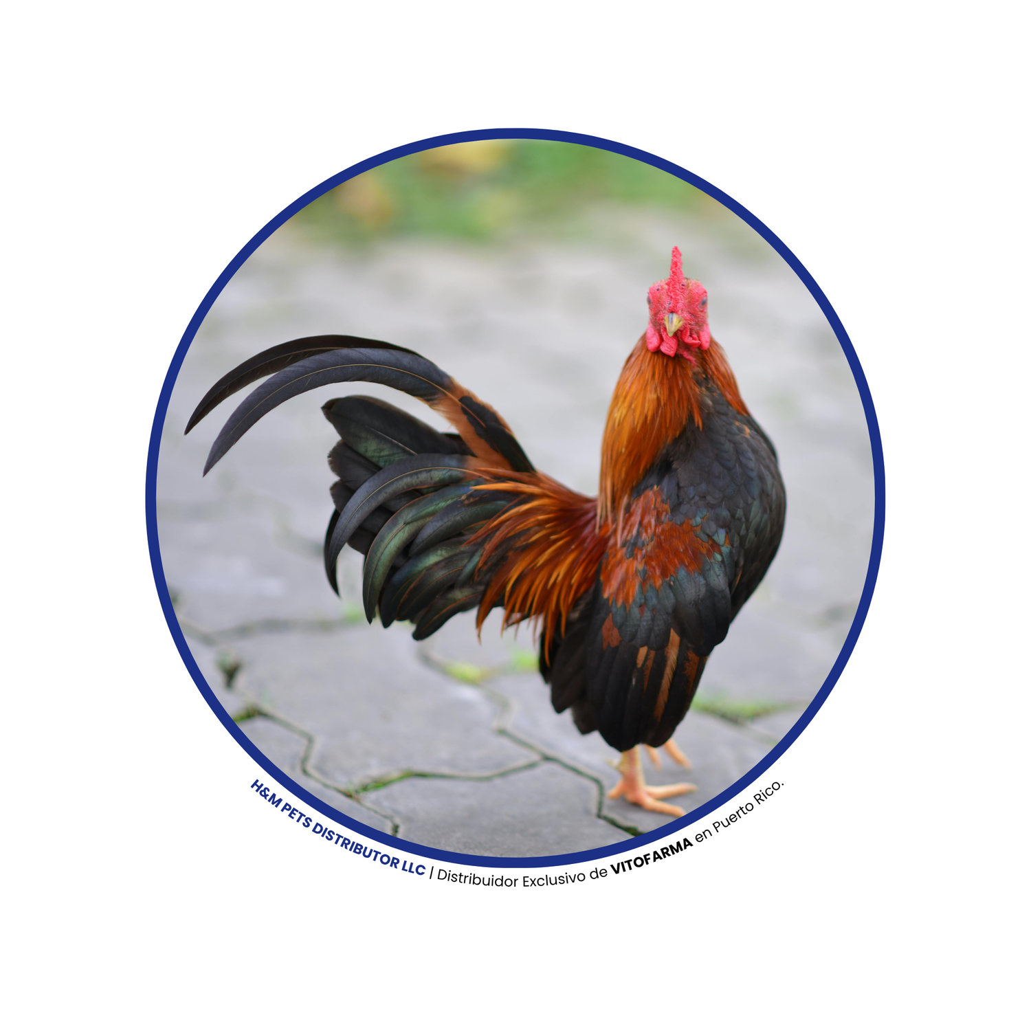 Productos para Gallos
