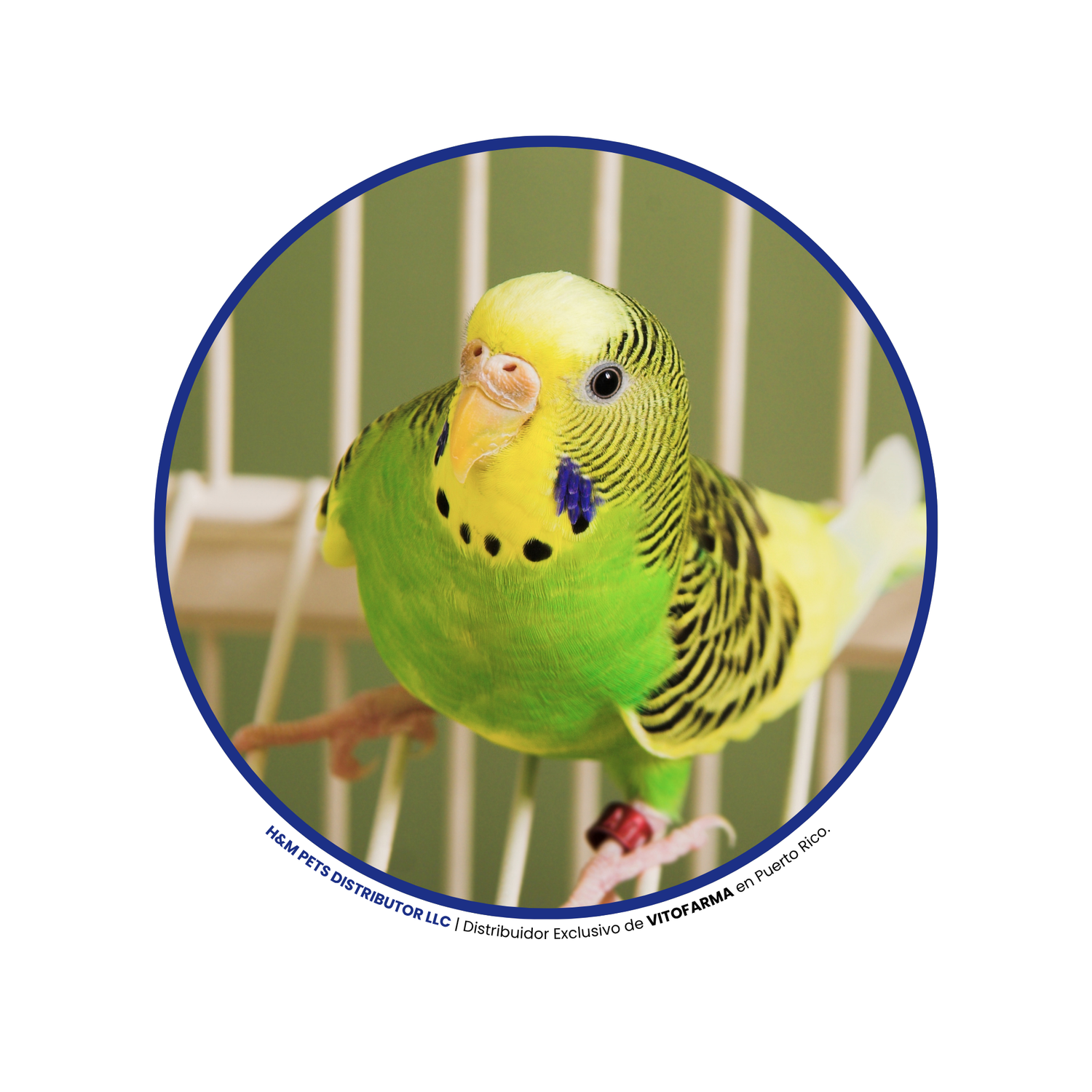 Productos para Aves