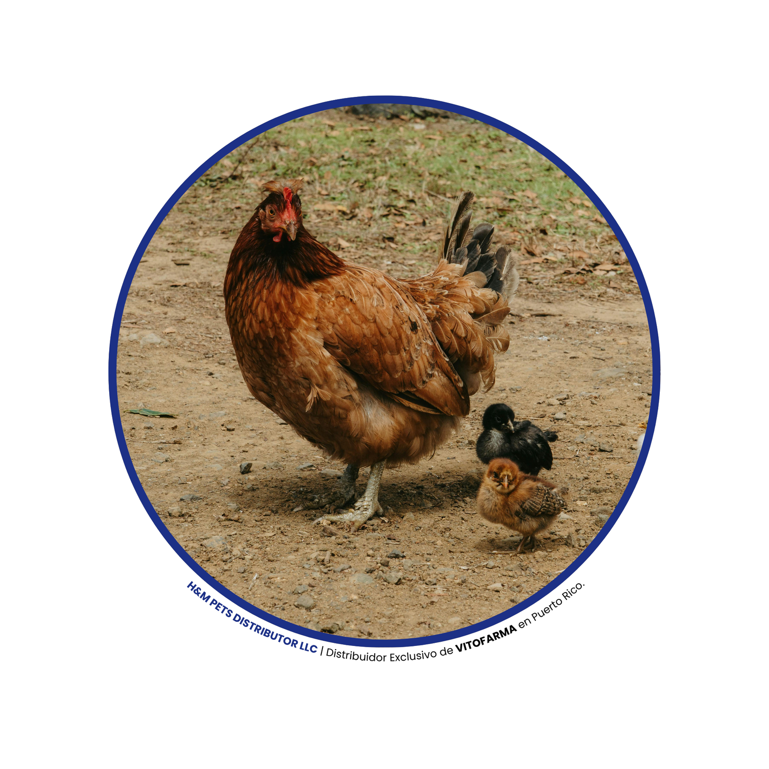 Productos para Animales de Corral
