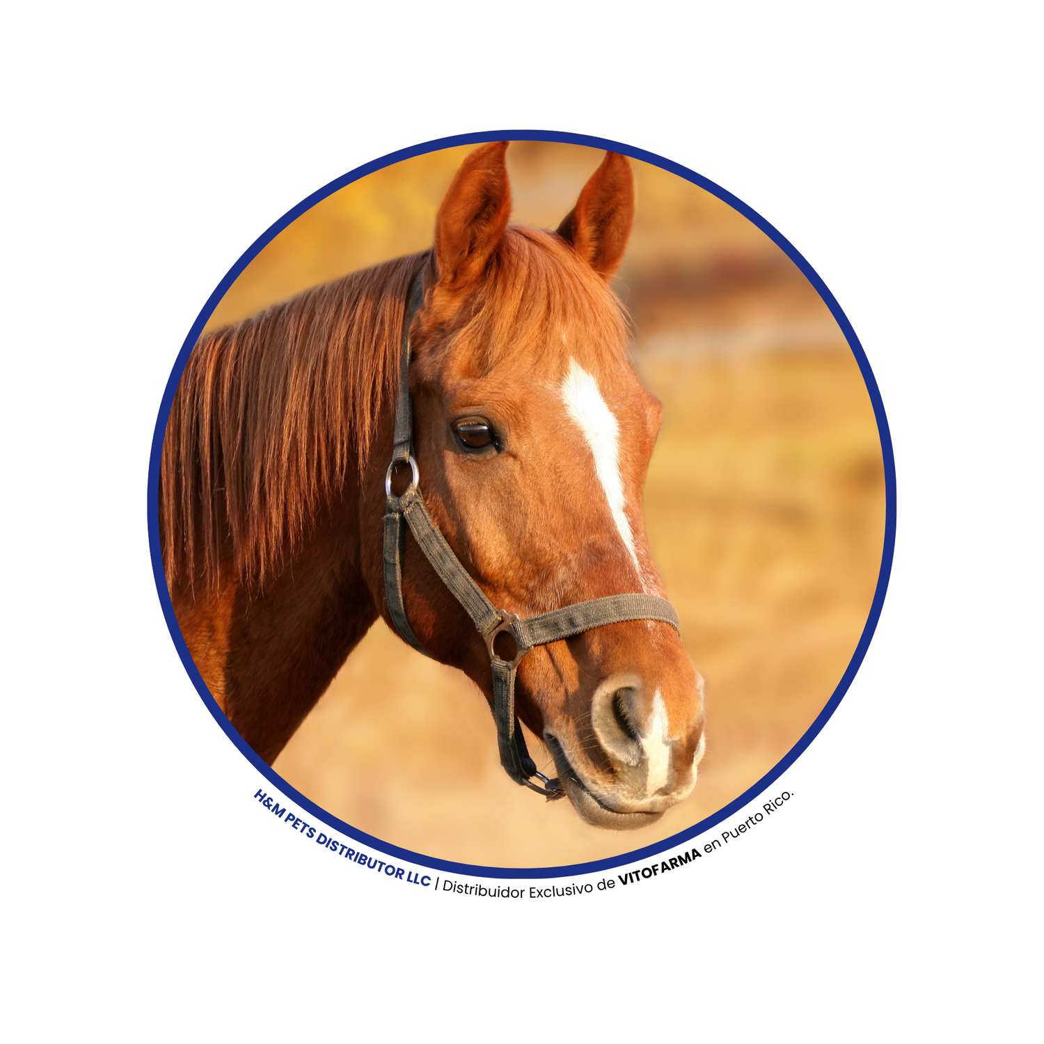 Productos para Caballos