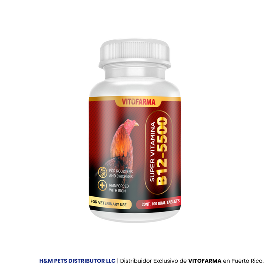 B12 5500 para gallos – Super Vitamina B12 100 tabletas