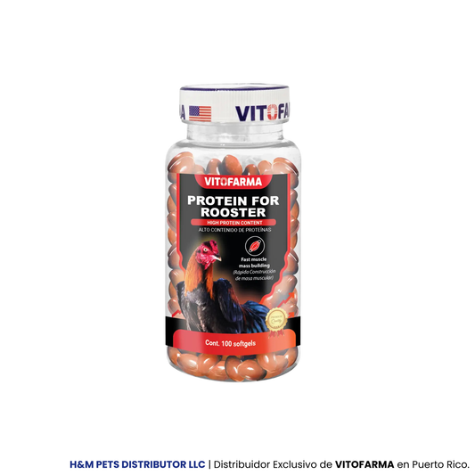 Protein For Rooster 100 Softgels